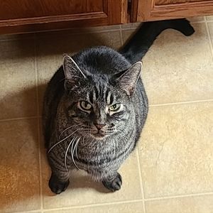 Meet your Posher, Crystal